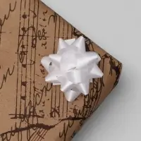 Бант - звезда №3.5, фасовка 8 шт., МИКС Бант - звезда №3.5, фасовка 8 шт., МИКС