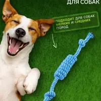 Игрушка канатная &laquo;Конфета&raquo;, до 20 г, синяя