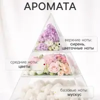 Диффузор ароматический с палочками Holi Enthusiasm, 50 мл