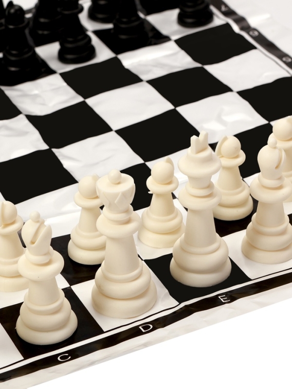 Шахматы 22 х 22 см, король h-4.4 см, d-1.8 см, фигуры пластик Шахматы 22 х 22 см, король h-4.4 см, d-1.8 см, фигуры пластик