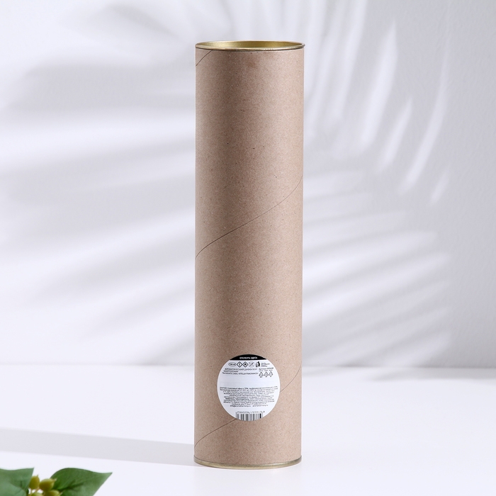 Диффузор ароматический, Диффузор ароматический, "AMSTERDAM", сосна, эвкалипт, 100мл