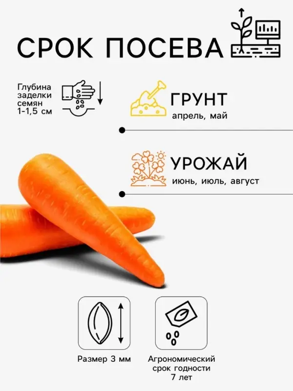 Семена на ленте Морковь &laquo;Лагуна&raquo; F1, 6 м, &laquo;Престиж семена&raquo;