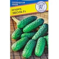 Семена Огурец &laquo;Эколь&raquo; F1, раннеспелый, партенокарпический, 5 шт., &laquo;Престиж семена&raquo;