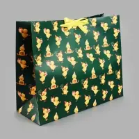 Пакет подарочный &laquo;Яркий&raquo;, XL, 49 х 40 х 19 см