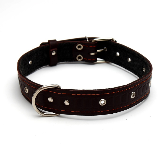 Ошейник кожаный тисненый на фетре, безразмерный, 64 х 3,5 см, ОШ 31-60 см, коричневый Ошейник кожаный тисненый на фетре, безразмерный, 64 х 3,5 см, ОШ 31-60 см, коричневый