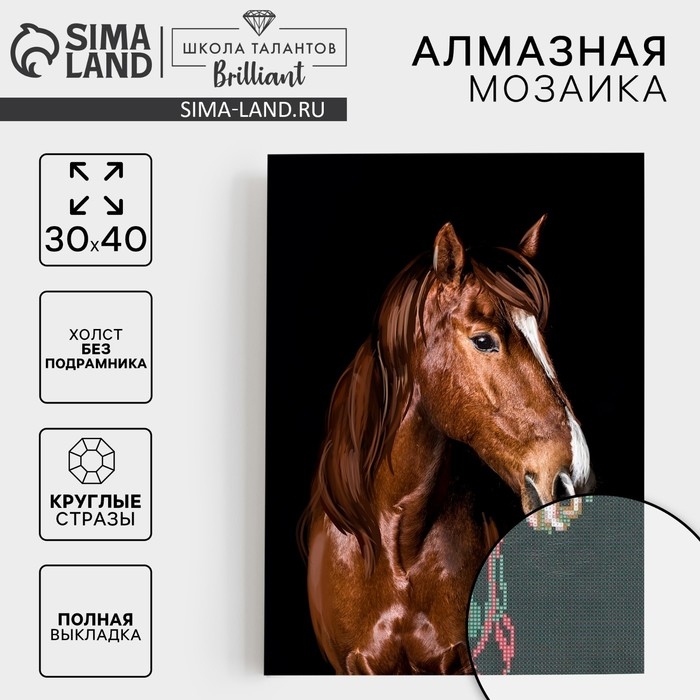 Алмазная мозаика с полным заполнением на холсте «Жеребец», 30 х 40 см Алмазная мозаика с полным заполнением на холсте «Жеребец», 30 х 40 см