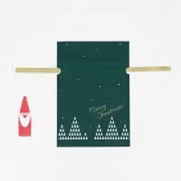 Мешок подарочный новогодний &laquo;Волшебный лес&raquo; зелёный, 20&times;30 см