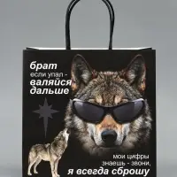 Пакет подарочный крафтовый &laquo;Брат&raquo;, 22&times;22&times;11 см