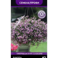 Семена цветов Бакопа Блютопия, 5шт