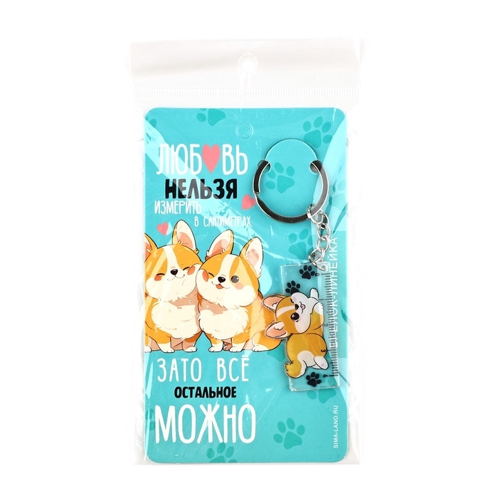Брелок линейка для ключей «Любовь нельзя измерить», 2.4 х 10 см Брелок линейка для ключей «Любовь нельзя измерить», 2.4 х 10 см