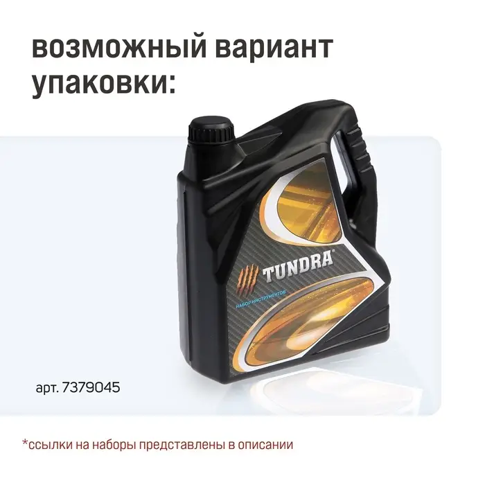 Набор инструментов ТУНДРА, подарочный пластиковый кейс &laquo;Канистра&raquo;, 21 предмет