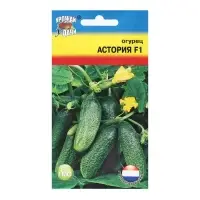 Семена Огурец "Астория F1 (тип Клавдия)", 0,2 г Семена Огурец "Астория F1 (тип Клавдия)", 0,2 г