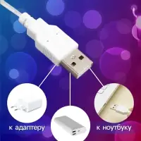 Гирлянда &laquo;Нить&raquo; 3 м с насадками &laquo;Снежинки большие&raquo;, IP20, прозрачная нить, 20 LED, свечение мульти (RG/RB), мигание, USB