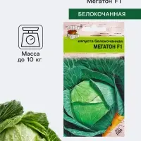 Семена Капуста белокочанная &laquo;Мегатон&raquo;, F1, 0.08 г