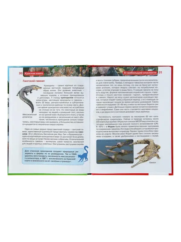 Детская энциклопедия &laquo;Красная книга&raquo;