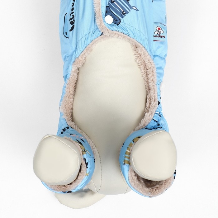 Комбинезон Комбинезон "Метель", размер M (ДС 30 см, ОГ 40, ОШ 27 см), голубой