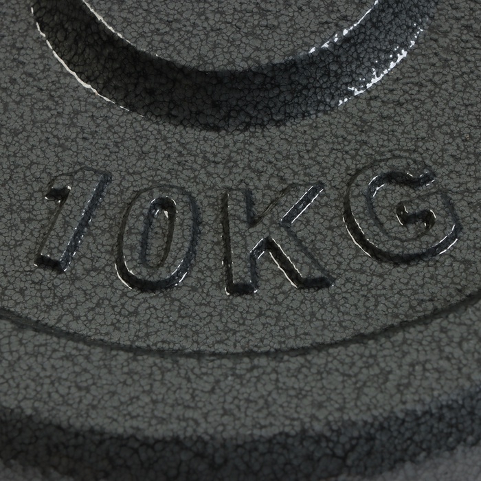 Диск 10 кг, d=29 мм Диск 10 кг, d=29 мм