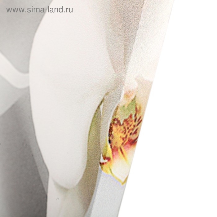 Картина модульная на подрамнике  Картина модульная на подрамнике "Ветка Орхидеи" (2-25х50, 30х60 см) 80х60 см