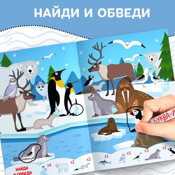 Книжка с маркером «Пиши-стирай. Найди и покажи», 12 стр. Книжка с маркером «Пиши-стирай. Найди и покажи», 12 стр.