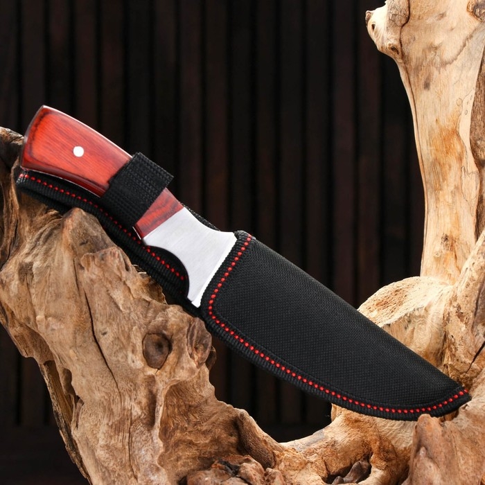 Нож охотничий Нож охотничий "Ринд" 22см, клинок 115мм/4мм, коричневый