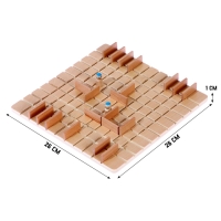 Настольная игра-головоломка "Прорыв осады лабиринта", 26 х 26 х 1 см
