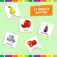 Лото «Растительный мир» по методике Г. Домана, 1-4 игрока, 3+