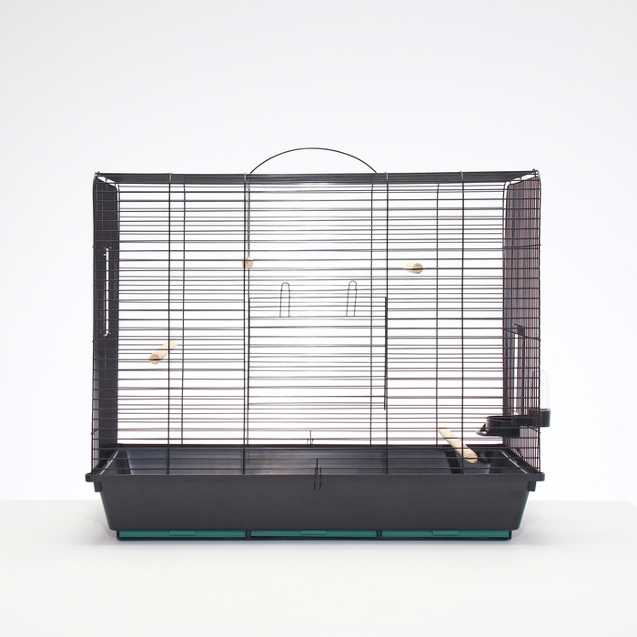 Клетка для птиц, Клетка для птиц, "Рикки max 3", 79 х 44 х 65 см, микс цветов
