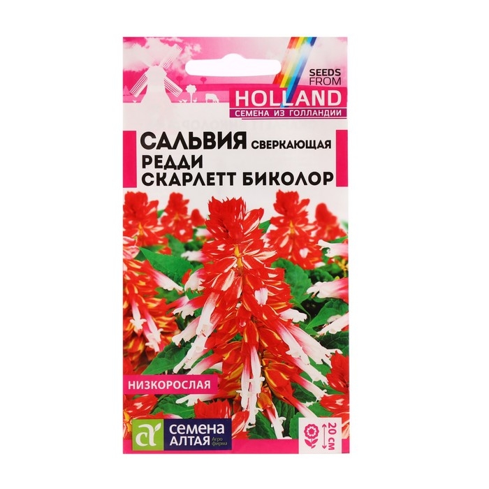 Семена цветов Сальвия  Семена цветов Сальвия "Редди", скарлет, биколор сверкающая, Сем. Алт, ц/п, 5 шт