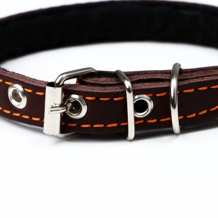 Ошейник кожаный на синтепоне, Ошейник кожаный на синтепоне, "Ёж" 36 х 1.5 см, ОШ 20-30 см, коричневый