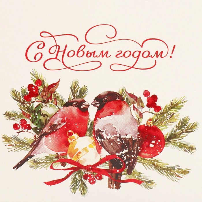 Коробка подарочная новогодняя складная «Снегири», 15 х 15 х 15 см, Новый год Коробка подарочная новогодняя складная «Снегири», 15 х 15 х 15 см, Новый год