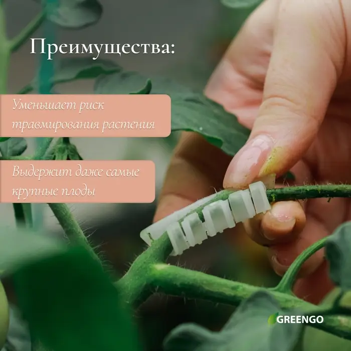Кистедержатель «Улитка», 3.5 см, набор 50 шт., Greengo