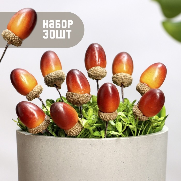 Набор штекеров Набор штекеров "Желудь" 30шт, 3х2см