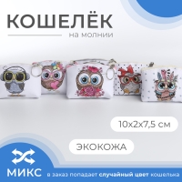 Кошелёк на молнии «Выбражулька», цвет МИКС