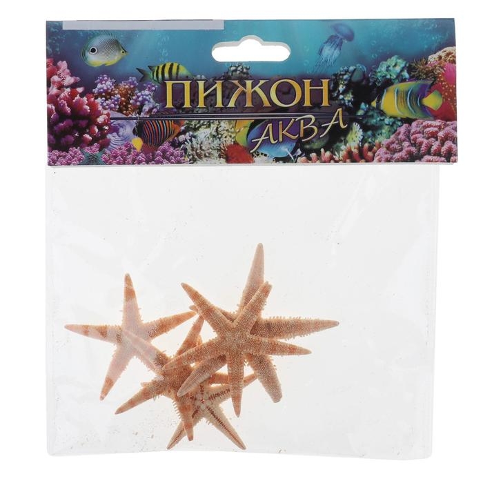 Набор из 5 морских звезд, размер каждой 3-5 см Набор из 5 морских звезд, размер каждой 3-5 см