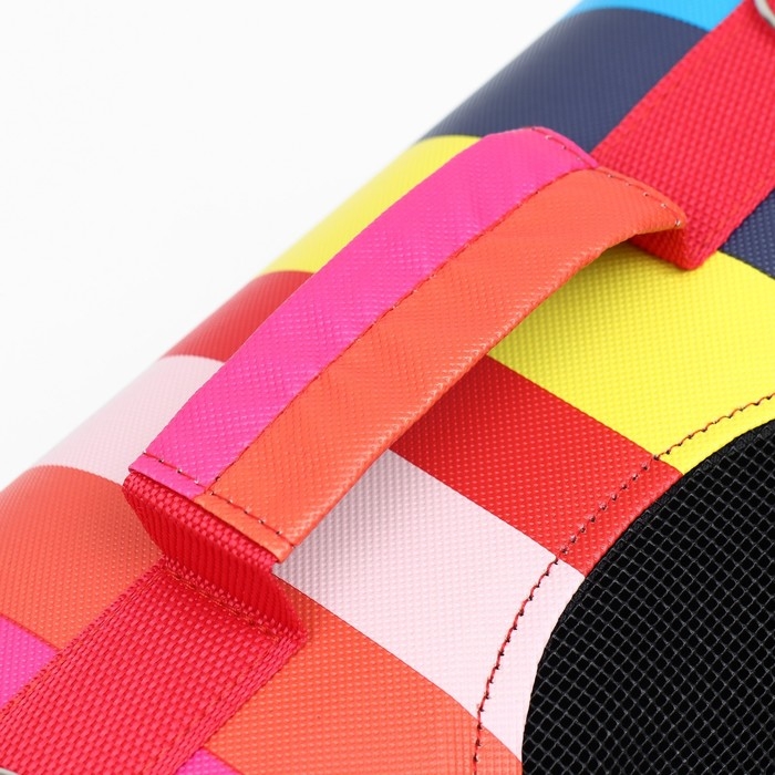 Сумка - переноска для животных  Сумка - переноска для животных "Радуга", размер М, 40 х 21 х 27 см