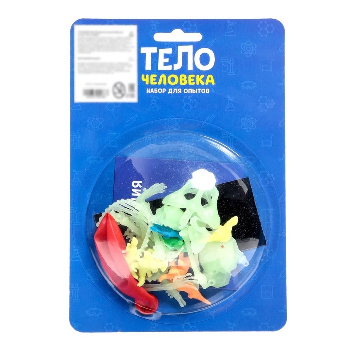 Набор для опытов «Тело человека», светится в темноте Набор для опытов «Тело человека», светится в темноте