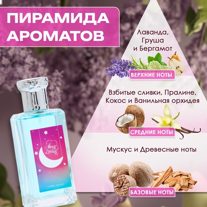 Туалетная вода женская Lovely Dream, 100 мл Туалетная вода женская Lovely Dream, 100 мл