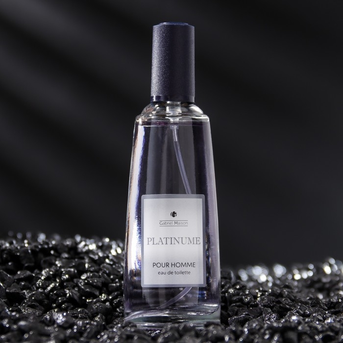 Туалетная вода мужская GABRIEL MAISON Туалетная вода мужская GABRIEL MAISON "Platinume", 50 мл