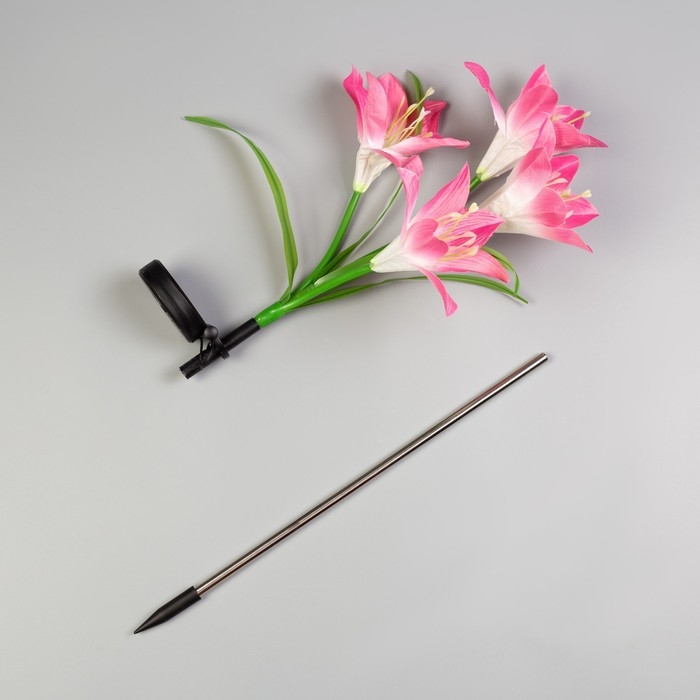 Садовый светильник на солнечной батарее «Лилия розовая», 80 см, 4 LED, свечение мульти (RGB) Садовый светильник на солнечной батарее «Лилия розовая», 80 см, 4 LED, свечение мульти (RGB)