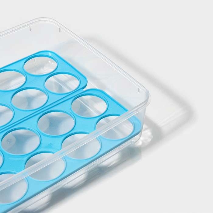 Контейнер для хранения яиц Доляна, 20 ячеек, 27,5×22×7 см, цвет МИКС