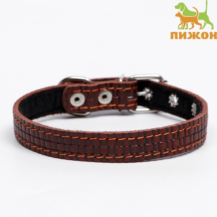 Ошейник кожаный с тиснением на синтепоне, 46 х 2 см, ОШ 25-35 см, коричневый Ошейник кожаный с тиснением на синтепоне, 46 х 2 см, ОШ 25-35 см, коричневый