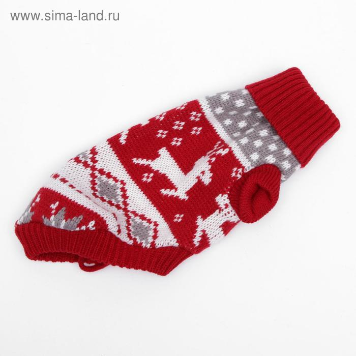 Свитер, размер 10 (ДС 30-45, ОШ 16-31, ОГ 30-45 см), микс расцветок Свитер, размер 10 (ДС 30-45, ОШ 16-31, ОГ 30-45 см), микс расцветок