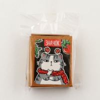 Новогодний значок в коробочке «Новый год: Котик» 3,1 х 3,7 см