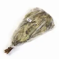 Веник для бани, дубовый, в пакете