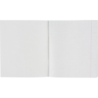 Тетрадь общая А5,48л,кл,скоб,офсет-2 Ice зелен/синий