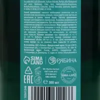 Гель для душа ЧИСТОЕ СЧАСТЬЕ, 500 мл, аромат яблочного пирога, Новый Год