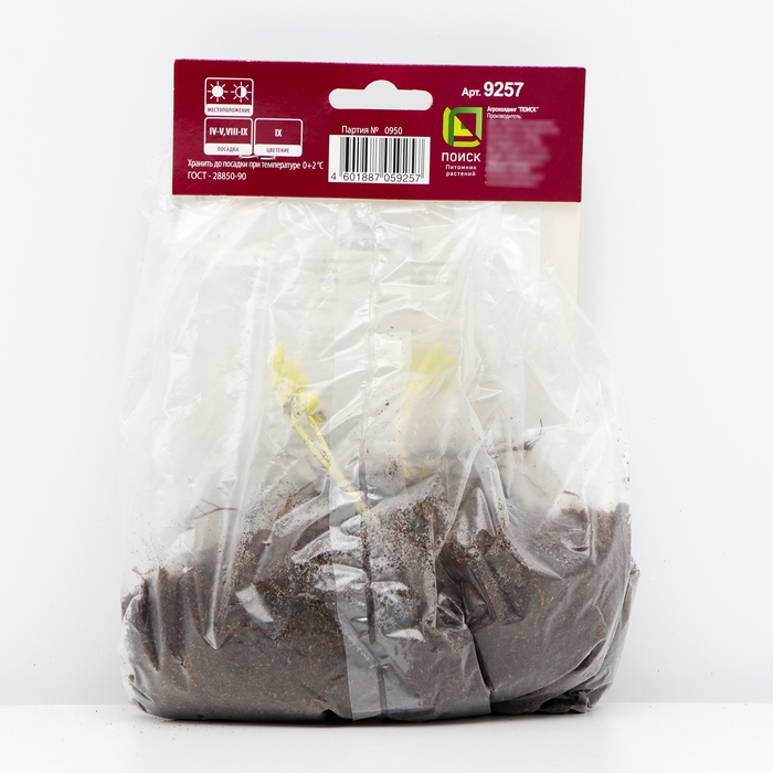 Клопогон простой Вайт Пёрл, р-р I, 1 шт, Весна 2025