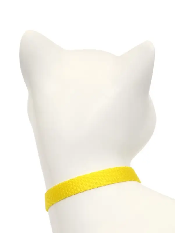 Набор ошейников для кошек &laquo;Маскарад&raquo;, 19-32&times;1 см, 4 шт.