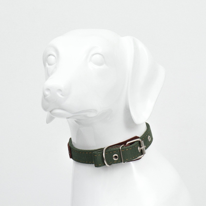 Ошейник брезентовый двухслойный безразмерный,с языком и кожаной косточкой, 2,5х60 см, ОШ 30-55 см 90 Ошейник брезентовый двухслойный безразмерный,с языком и кожаной косточкой, 2,5х60 см, ОШ 30-55 см 90