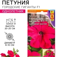 Семена цветов Петуния &laquo;Городские гиганты пурпурная мантия&raquo; F1, 7 шт., &laquo;АЭЛИТА&raquo;